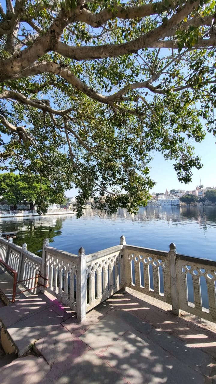Lakeside scene with a white railing, trees, and buildings in the distance.